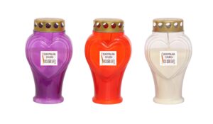 PAXDEI HEART NNM150H SRCE V210 NADG.LAMP